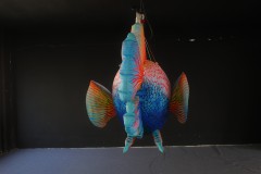 Activity Promotion Advertisement: Tropical Fish Inflatable Models, with an Ocean Atmosphere and Scene-specific Decorative Props.