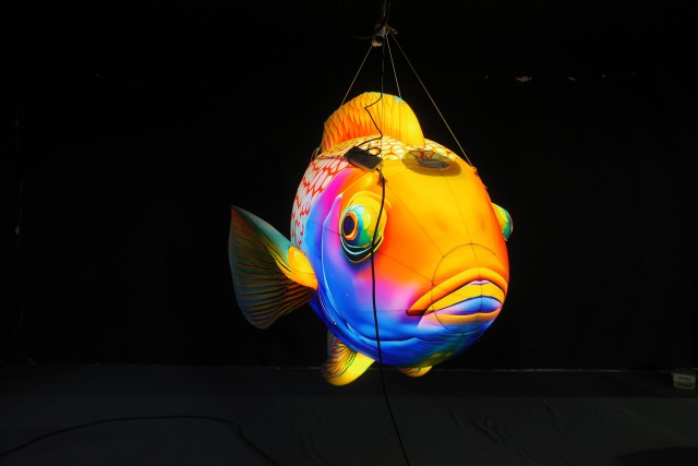 Activity Promotion Advertisement: Tropical Fish Inflatable Models, with an Ocean Atmosphere and Scene-specific Decorative Props.