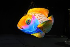 Activity Promotion Advertisement: Tropical Fish Inflatable Models, with an Ocean Atmosphere and Scene-specific Decorative Props.