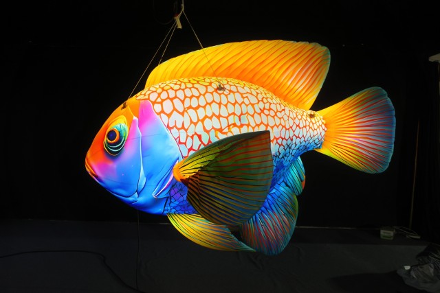 Activity Promotion Advertisement: Tropical Fish Inflatable Models, with an Ocean Atmosphere and Scene-specific Decorative Props.