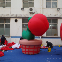 Custom Inflatable Flower Artwork 3D Botanical Display Model for Shopping Center Openings Plaza