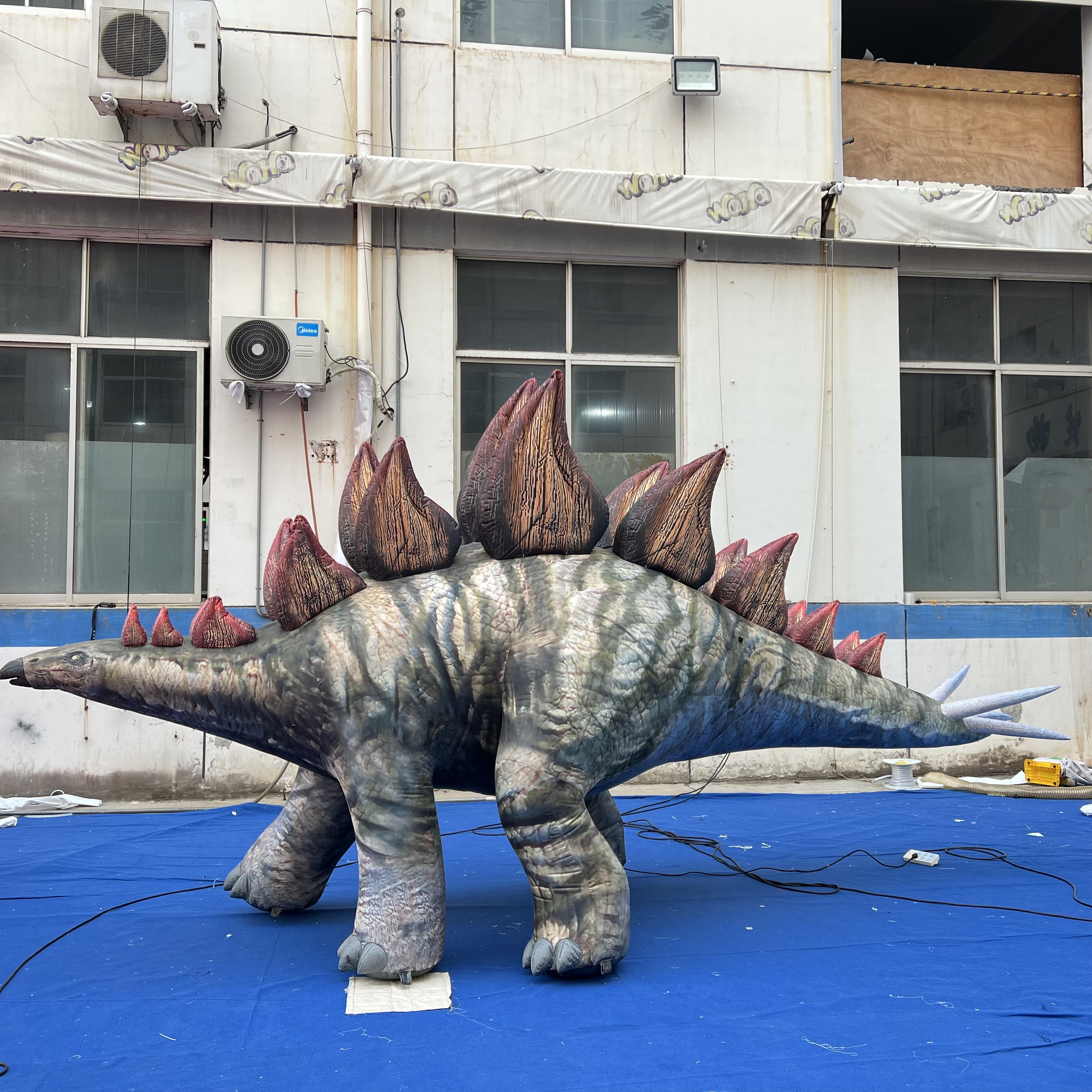 OEM Custom Inflatable Stegosaurus Mascot, Commercial Grade Advertising Inflatable for Commercial Exhibition & Event