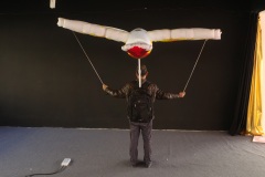 Inflatable Colorful Bird Parade Prop, Promotional Blow up Inflatable for Festival & Parade