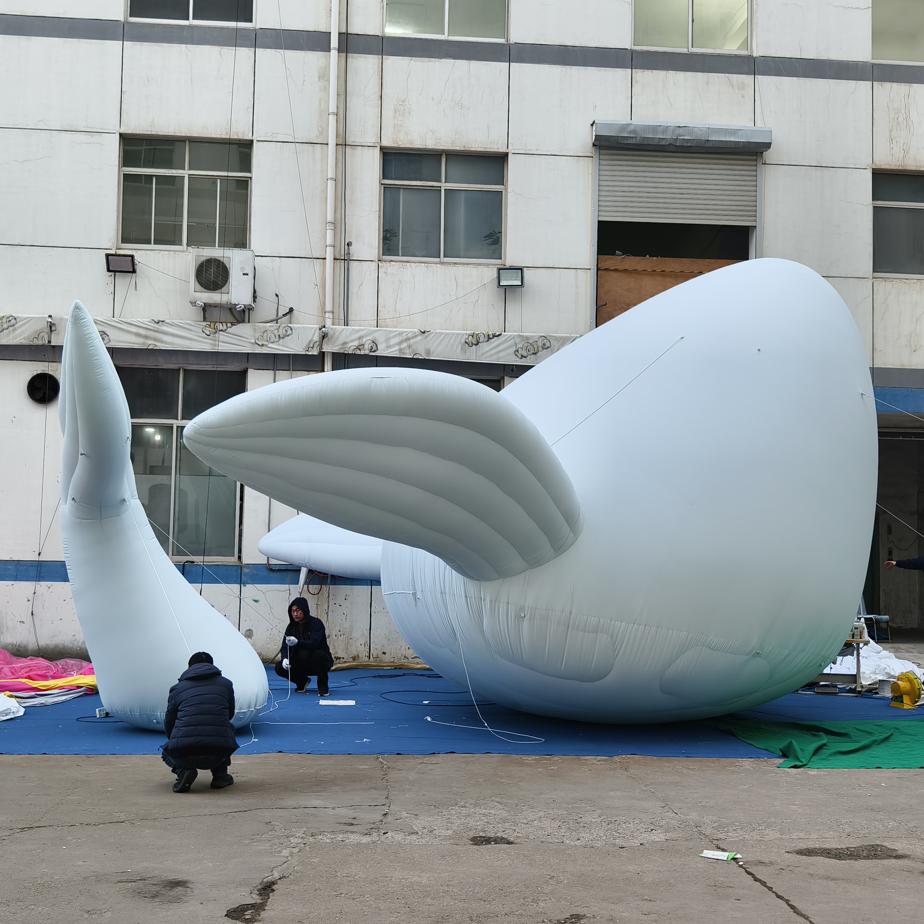 Premium Custom Inflatable Realistic Whale, Long-Lasting Advertising Inflatable for Commercial Decoration & City Event