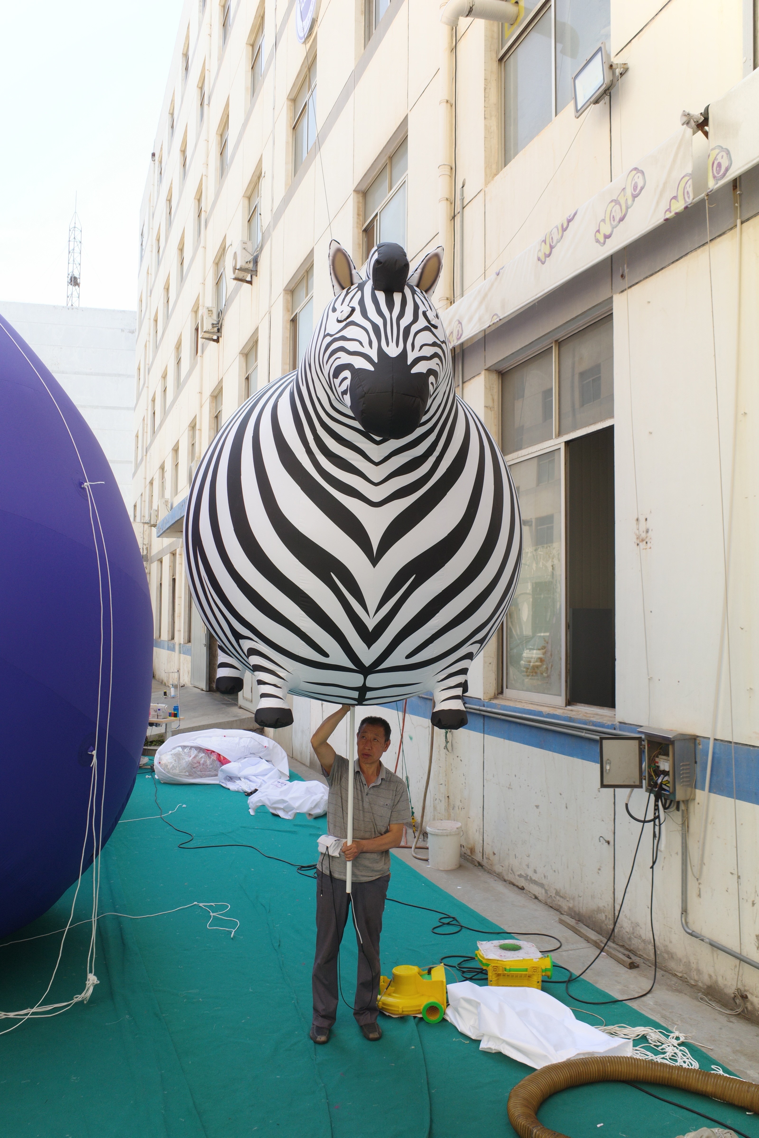 Custom Made Inflatable Chubby Zebra Figure, Personalized Advertising Inflatable for Mall & Exhibition