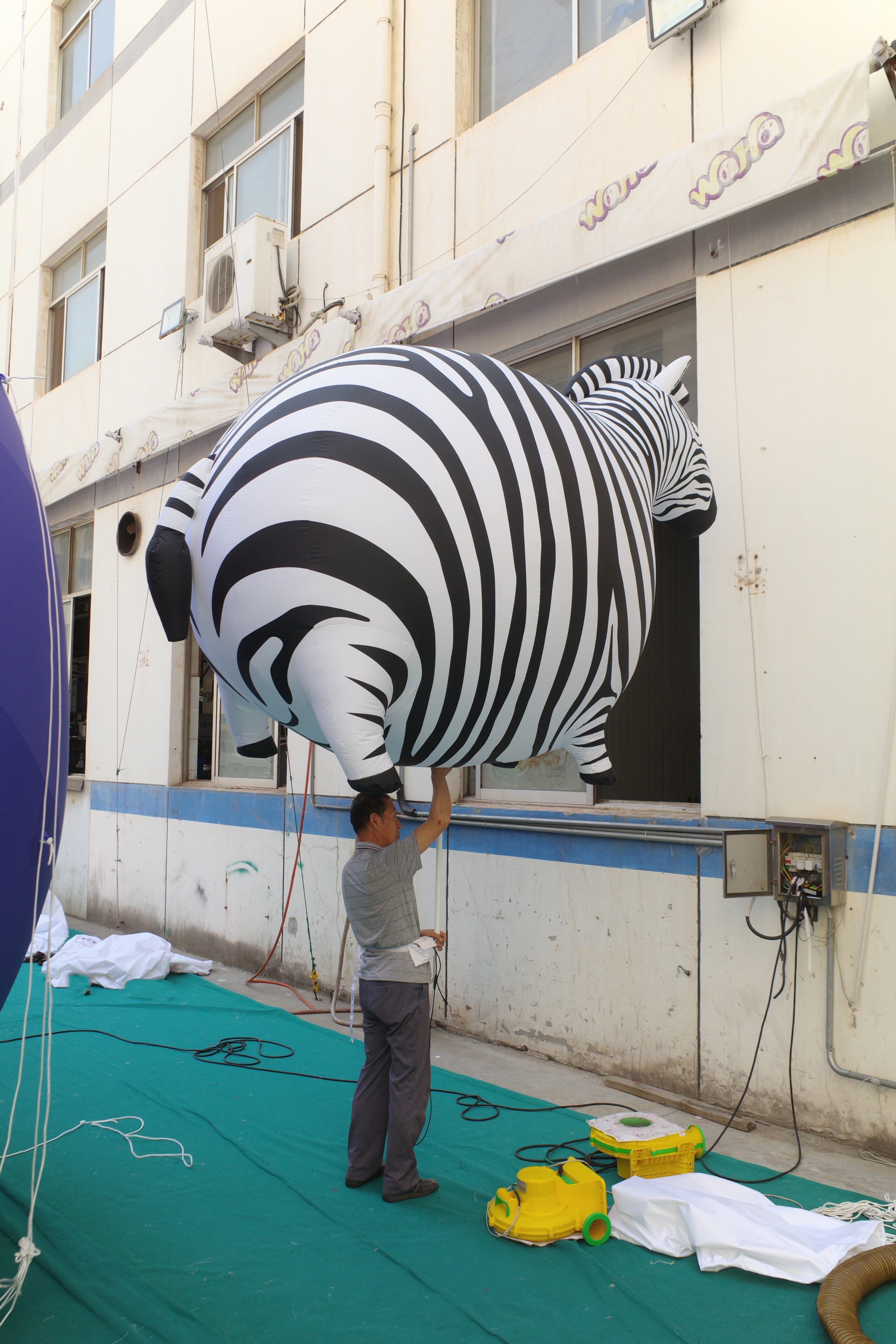 Custom Made Inflatable Chubby Zebra Figure, Personalized Advertising Inflatable for Mall & Exhibition