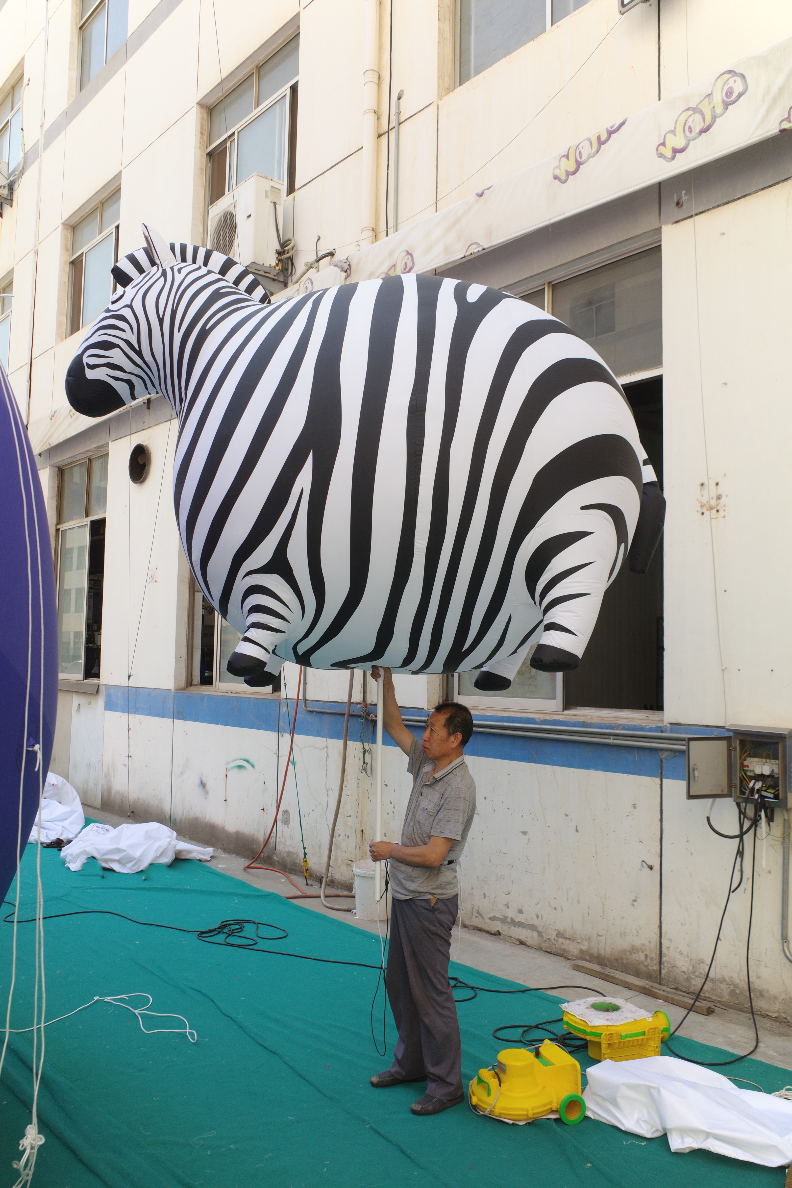 Custom Made Inflatable Chubby Zebra Figure, Personalized Advertising Inflatable for Mall & Exhibition