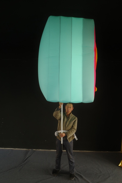 OEM Custom LED Inflatable Banner, Commercial Grade Inflatable for Carnival & Night Parade