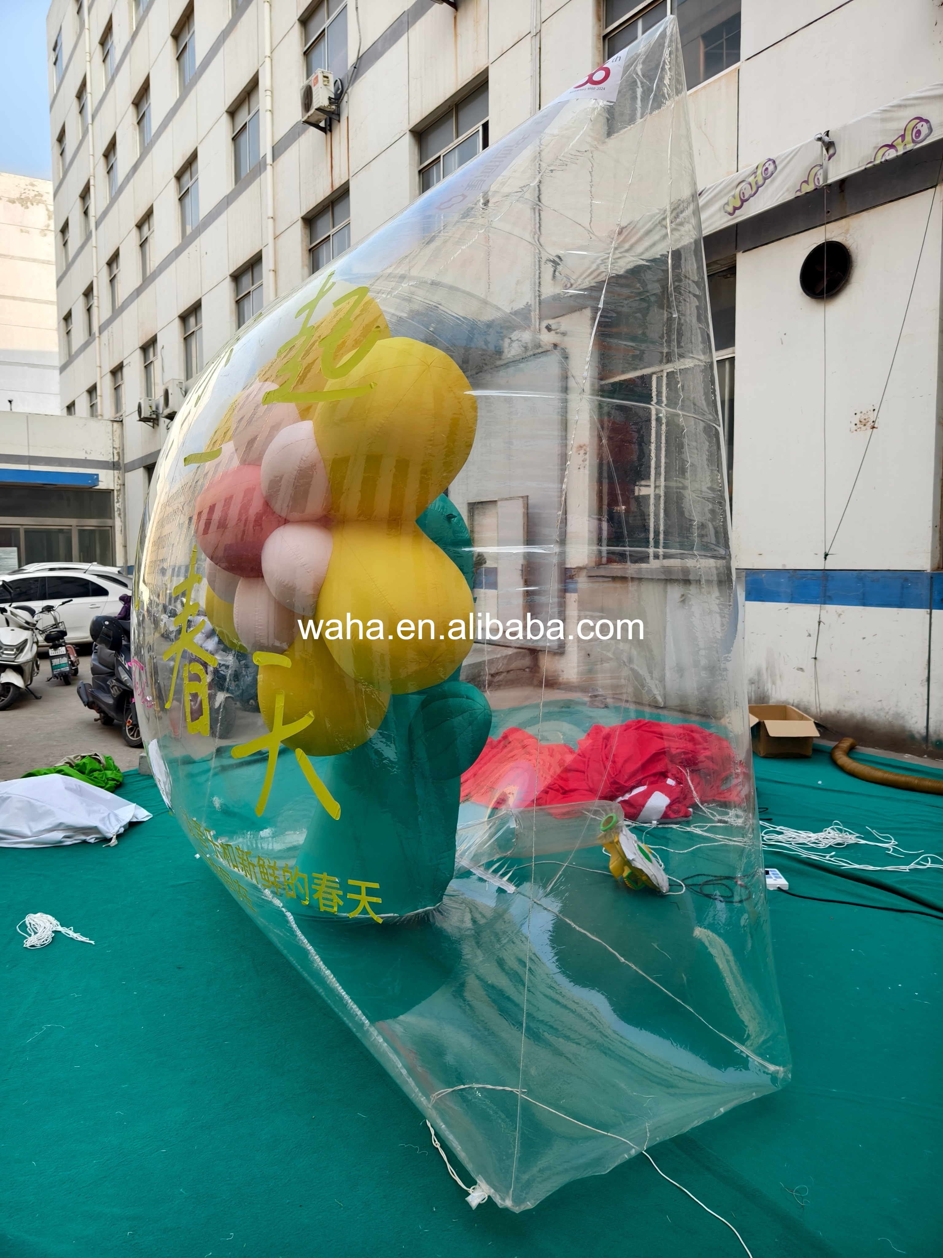 Customized Inflatable Transparent Flower Bag, Advertising Inflatable for Commercial Decoration & Photo Booth
