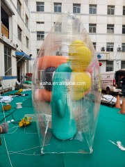 Customized Inflatable Transparent Flower Bag, Advertising Inflatable for Commercial Decoration & Photo Booth