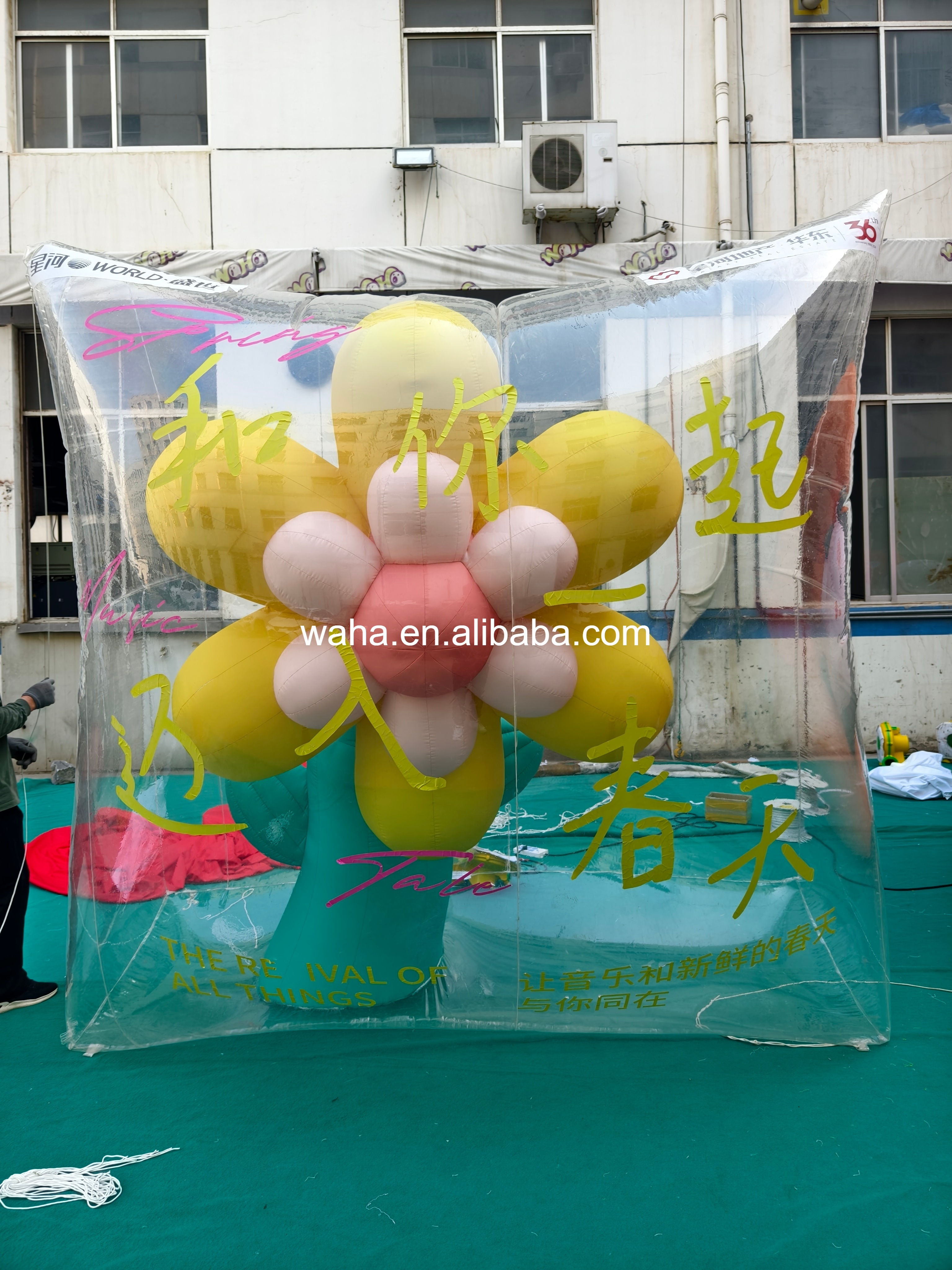 Customized Inflatable Transparent Flower Bag, Advertising Inflatable for Commercial Decoration & Photo Booth