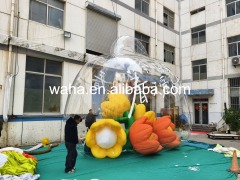 Customized Inflatable Transparent Flower Bag, Advertising Inflatable for Commercial Decoration & Photo Booth