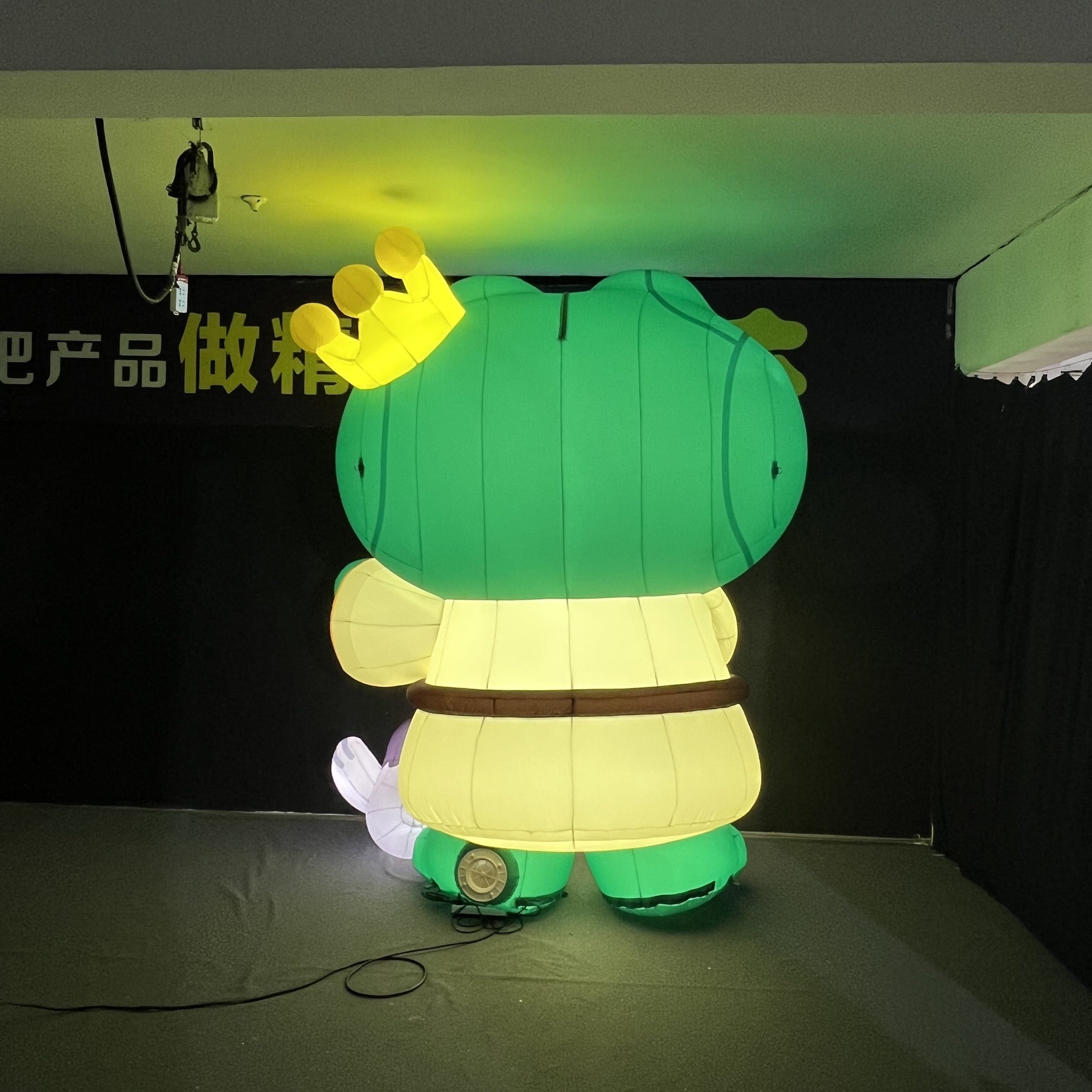 Cartoon Reading Frog Inflatable, Promotional Advertising Inflatable for Kids Events & Library Activities