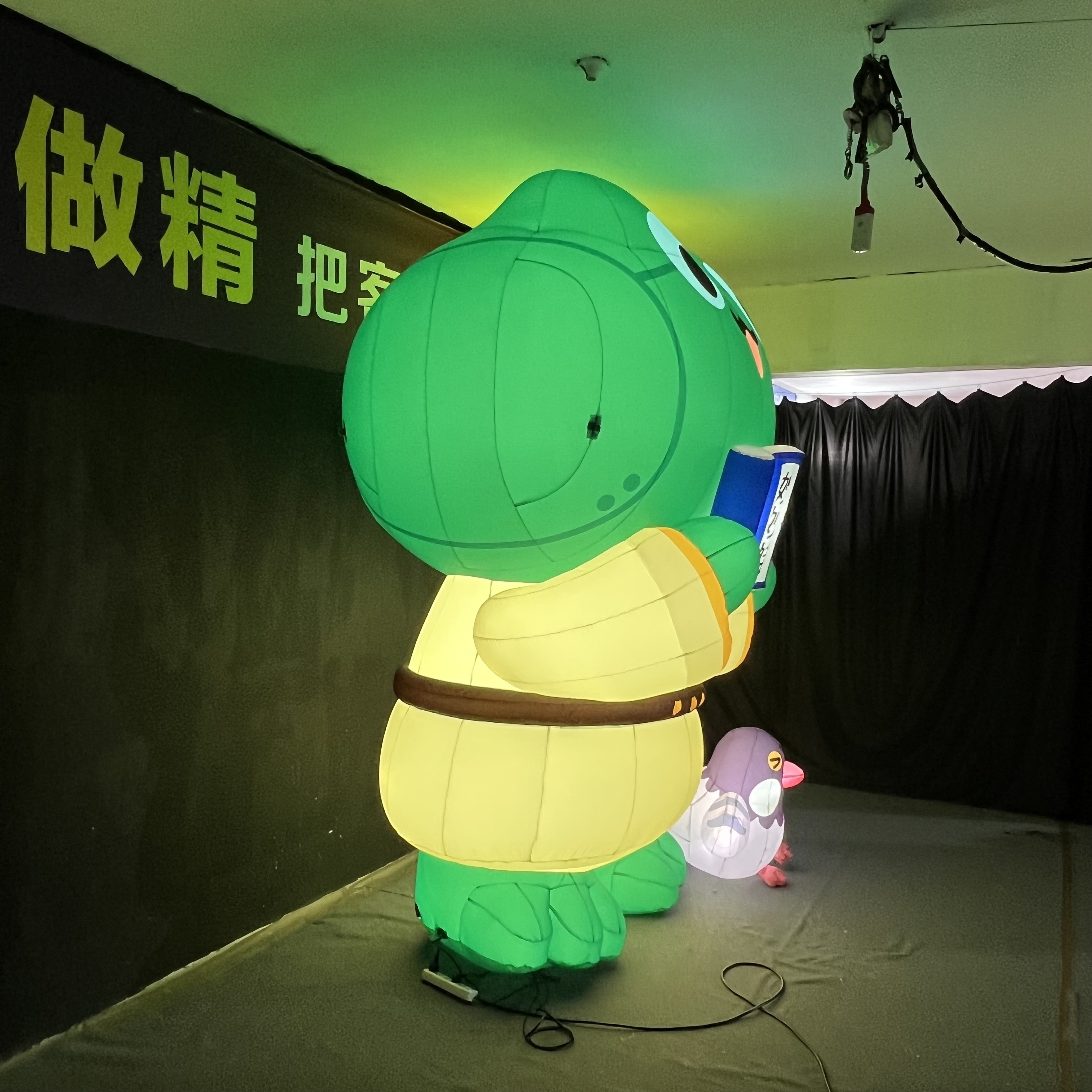 Cartoon Reading Frog Inflatable, Promotional Advertising Inflatable for Kids Events & Library Activities