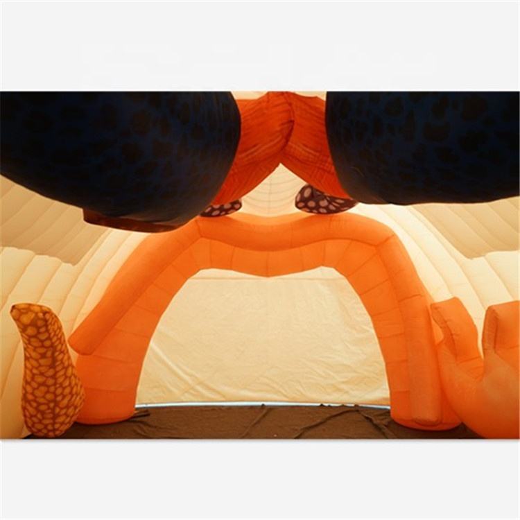 Giant Cartoon Face Inflatable Tent, Funny Head-Shaped Air Structure for Events & Parties