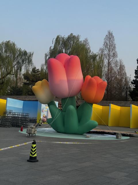 Brand Custom IP Inflatable for Commercial Decoration, Retail Advertising & Themed Large Event Decor