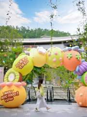 Brand Custom IP Inflatable for Commercial Decoration, Retail Advertising & Themed Large Event Decor