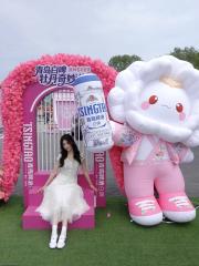 Brand Custom IP Inflatable for Commercial Decoration, Retail Advertising & Themed Large Event Decor