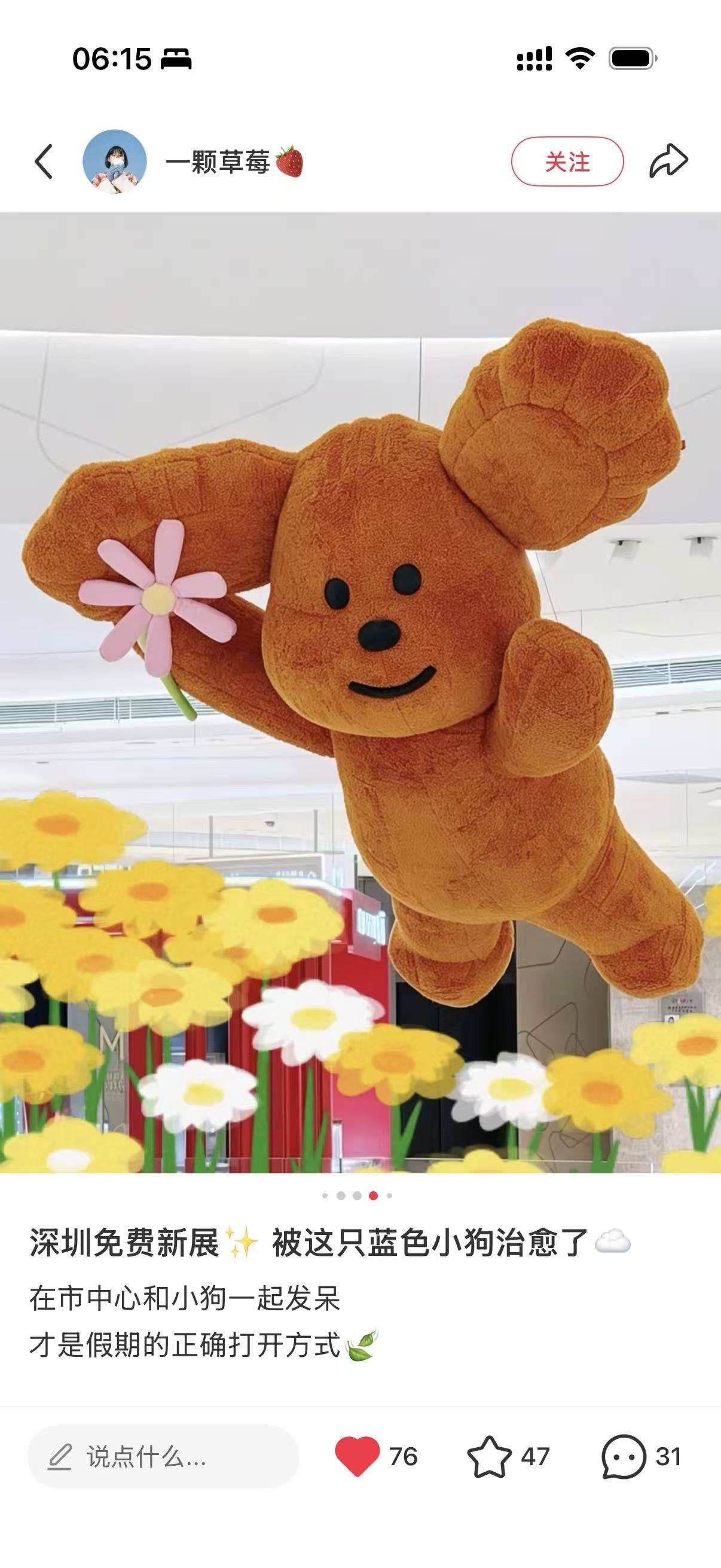 Brand Custom IP Inflatable for Commercial Decoration, Retail Advertising & Themed Large Event Decor