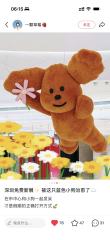 Brand Custom IP Inflatable for Commercial Decoration, Retail Advertising & Themed Large Event Decor