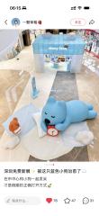 Brand Custom IP Inflatable for Commercial Decoration, Retail Advertising & Themed Large Event Decor