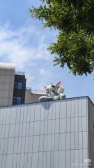 Brand Custom IP Inflatable for Commercial Decoration, Retail Advertising & Themed Large Event Decor