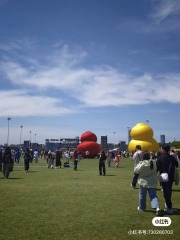 Brand Custom IP Inflatable for Commercial Decoration, Retail Advertising & Themed Large Event Decor