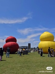 Brand Custom IP Inflatable for Commercial Decoration, Retail Advertising & Themed Large Event Decor