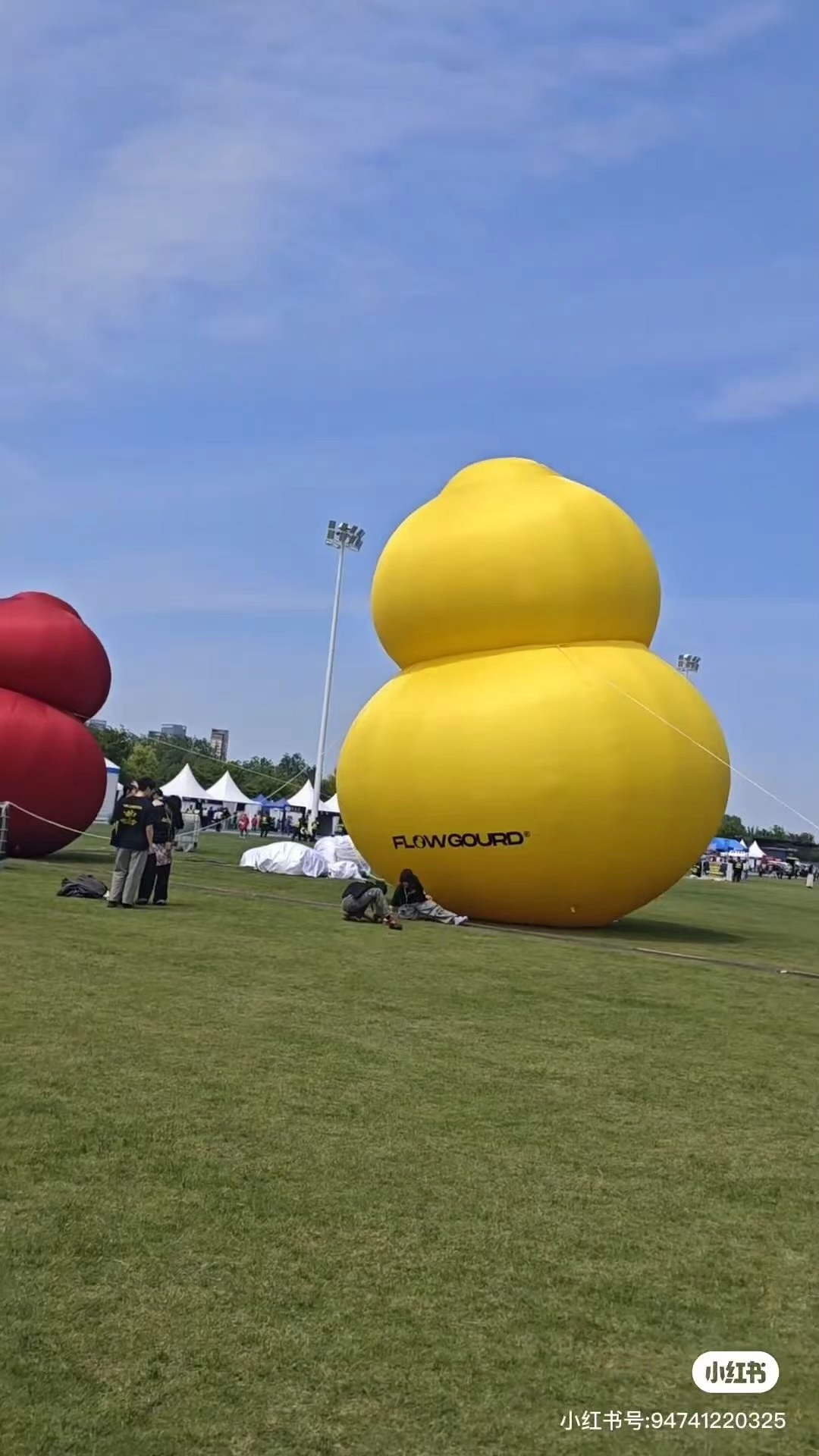 Brand Custom IP Inflatable for Commercial Decoration, Retail Advertising & Themed Large Event Decor
