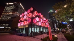 Brand Custom IP Inflatable for Commercial Decoration, Retail Advertising & Themed Large Event Decor