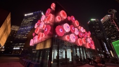 Brand Custom IP Inflatable for Commercial Decoration, Retail Advertising & Themed Large Event Decor