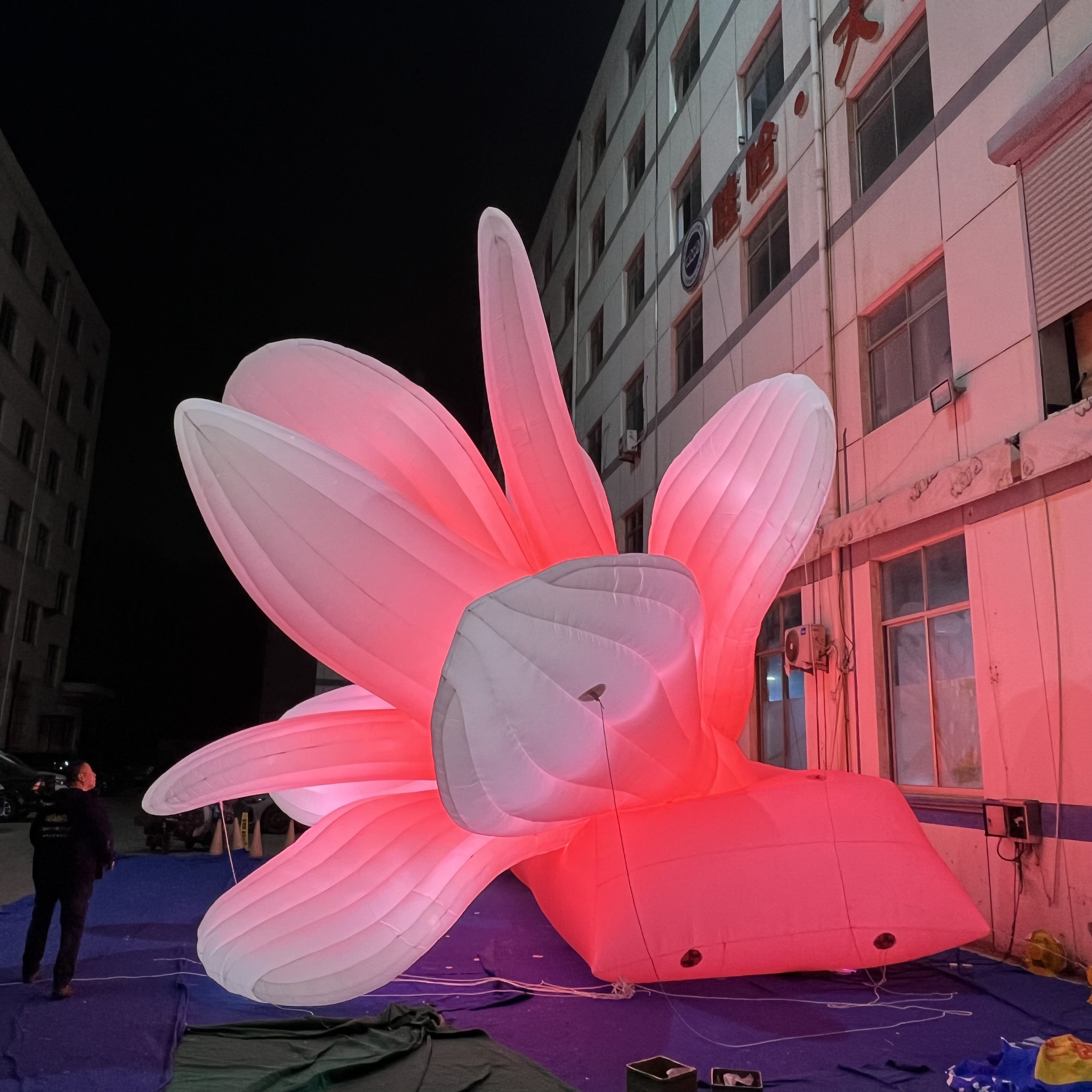 3D Giant Color Changing Inflatable LED Flower Custom Luminous Floral Model for Outdoor Night Commercial Advertising