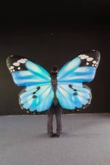 Custom Inflatable Large Butterfly Wings Costume for Themed Event Amusement Park Character Performance