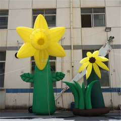 Custom Inflatable Flower Sculpture Meichen Commercial Promotion Event Display Inflatable Factory Direct Supply