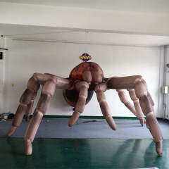 Illuminated Realistic Tarantula Inflatable Sculpture for Festival Display Decoration | OEM Inflatable Factory