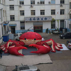 Realistic Ocean Crab Inflatable Sculpture for Festival Display Decoration | OEM Inflatable Factory