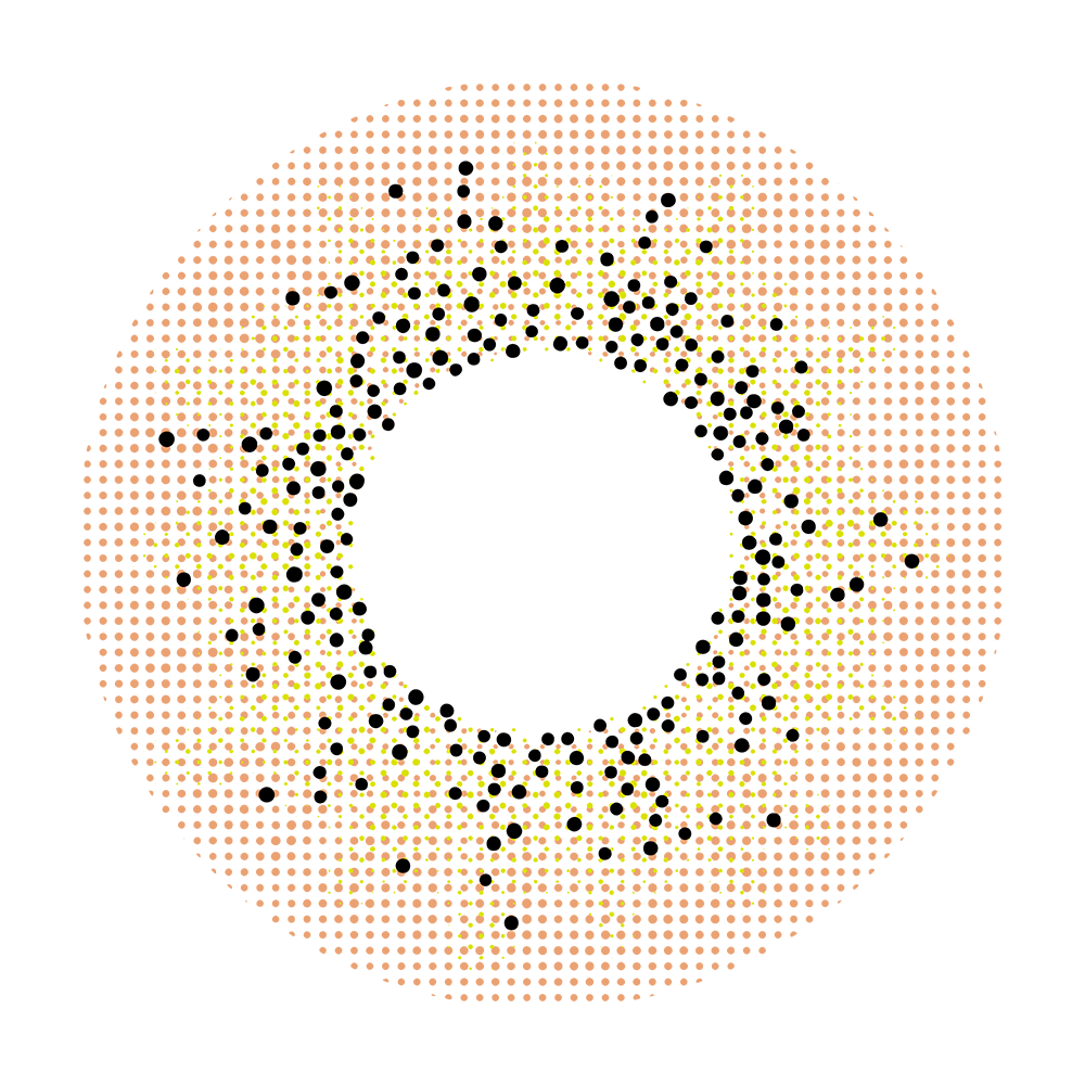 2pcs LolaDiva Amber Speckle Brown | 1-Year Contact Lenses