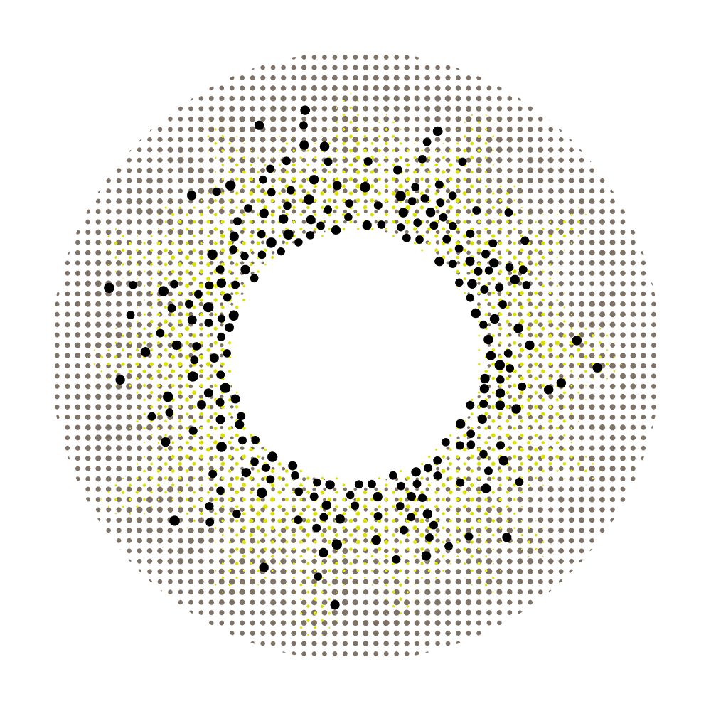 2pcs LolaDiva Toffee Speckle Hazel | 1-Year Contact Lenses