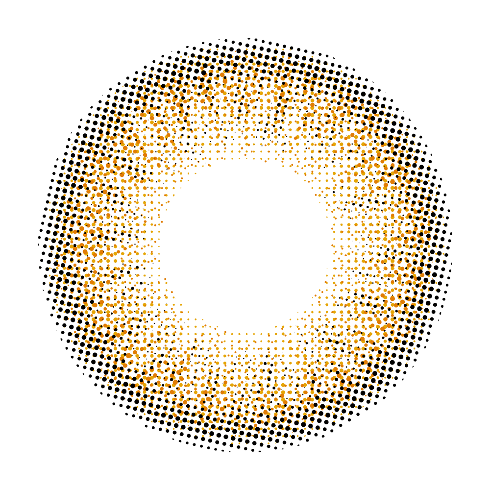 2pcs LolaDiva Golden Veil Brown | 1-Year Contact Lenses