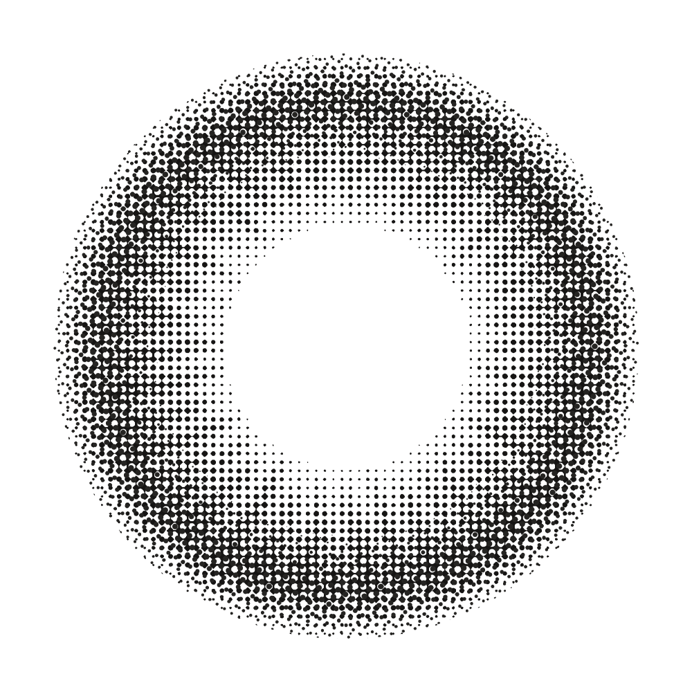 2pcs LolaDiva Mysterious Midnight Black | 1-Year Contact Lenses