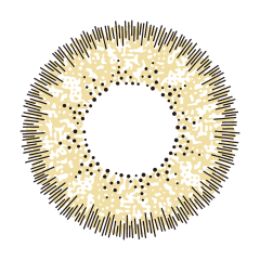 Sunrise Quartz Yellow