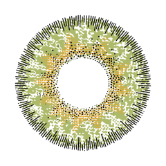 Primavera Yellow-Green