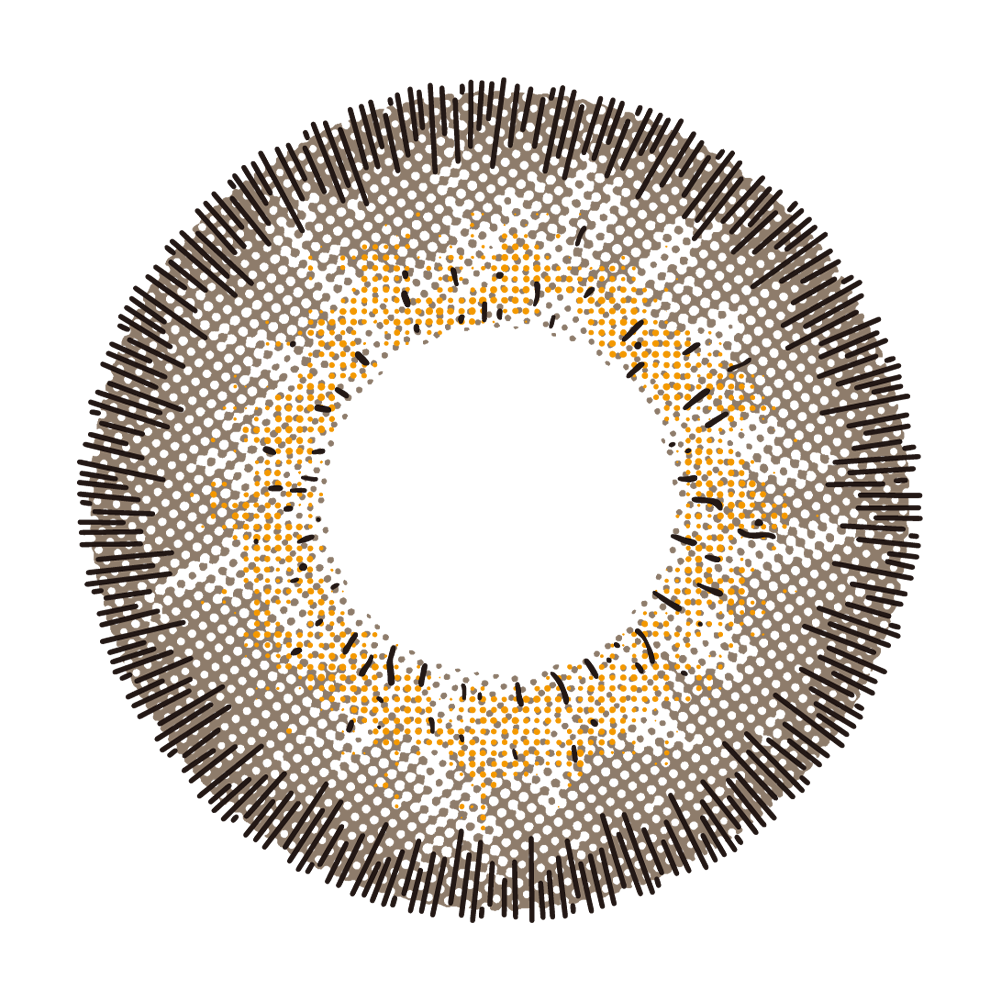 2pcs LolaDiva Nocturne Echo Brown | 1-Year Contact Lenses