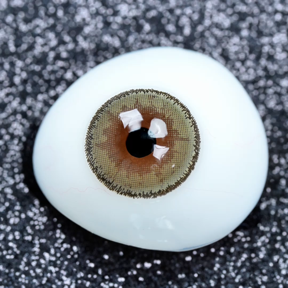 2pcs LolaDiva Egyptian Brown | 1-Year Contact Lenses