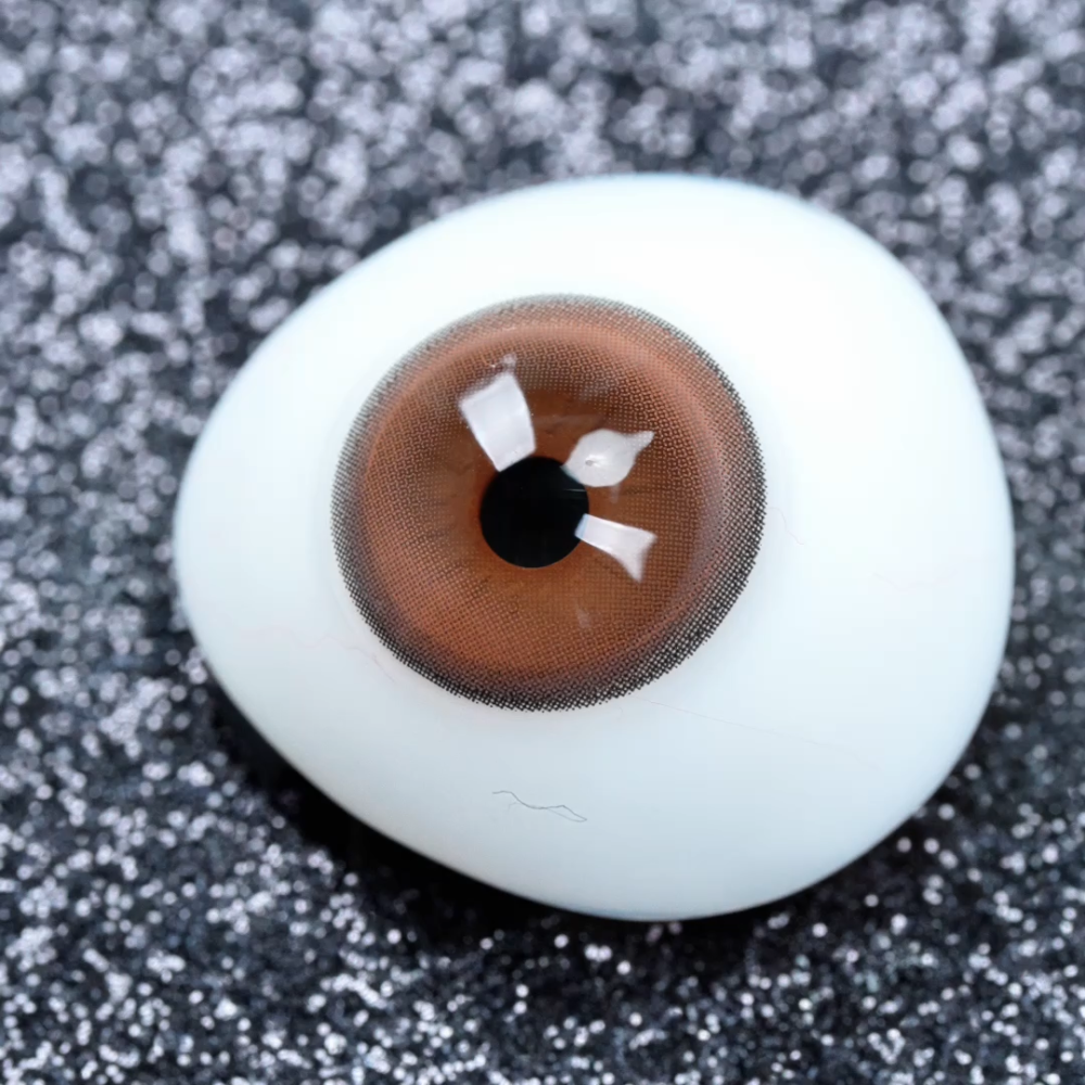 2pcs LolaDiva Truffle Brown | 1-Year  Contact Lenses 14.5mm