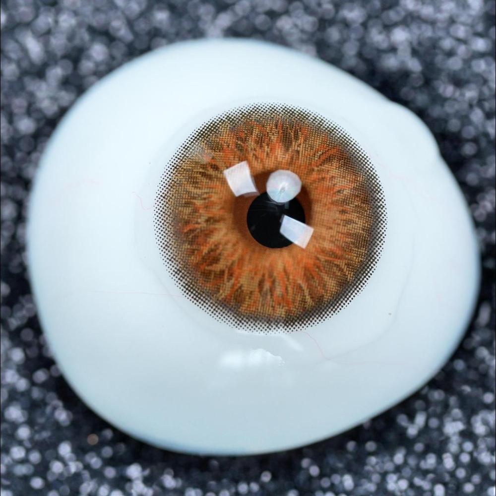 2pcs LolaDiva Goddess Wild Brown | 1-Year Contact Lenses