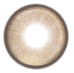 Amber Flux Brown(1-Year)