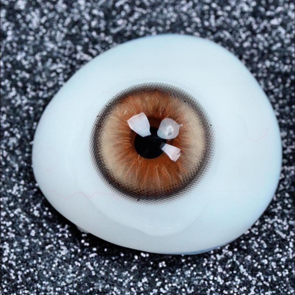 2pcs LolaDiva Sahara Drift Brown | 1-Year Contact Lenses