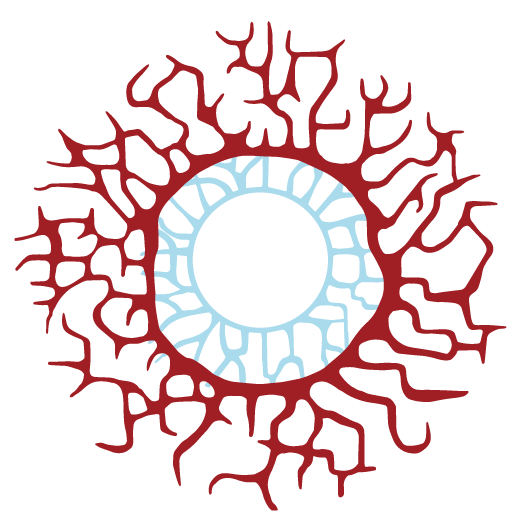 2pcs LolaDiva Frozen Curse Vampire | 1-Year Halloween Contacts