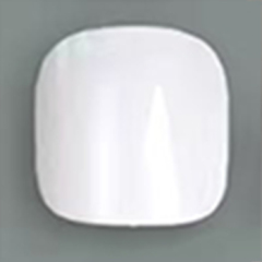 Snow lotus white